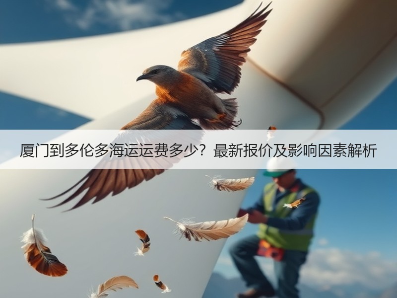 厦门到多伦多海运运费多少?最新报价及影响因素解析 厦门到多伦多海运运费多少?最新报价及影响因素解析