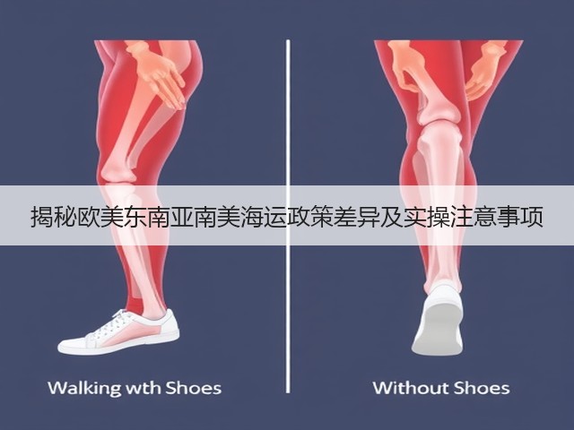 揭秘欧美东南亚南美海运政策差异及实操注意事项(图1) 揭秘欧美东南亚南美海运政策差异及实操注意事项(图1)