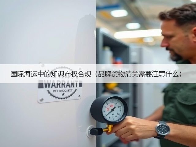 国际海运中的知识产权合规(品牌货物清关需要注意什么)(图2) 国际海运中的知识产权合规(品牌货物清关需要注意什么)(图2)