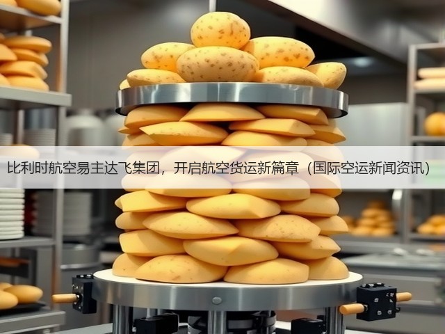比利时航空易主达飞集团，开启航空货运新篇章（国际空运新闻资讯）(图2)