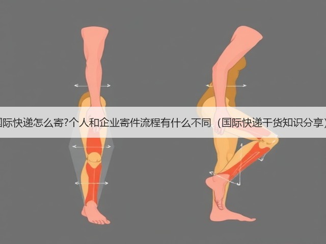 国际快递怎么寄?个人和企业寄件流程有什么不同(国际快递干货知识分享)(图3) 国际快递怎么寄?个人和企业寄件流程有什么不同(国际快递干货知识分享)(图3)