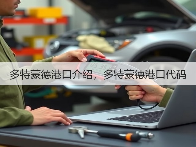 多特蒙德港口介绍，多特蒙德港口代码(图1)