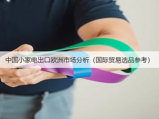 中国小家电出口欧洲市场分析(国际贸易选品参考)(图2) 中国小家电出口欧洲市场分析(国际贸易选品参考)(图2)