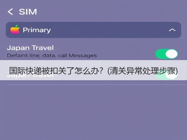 国际快递被扣关了怎么办?(清关异常处理步骤)(图3) 国际快递被扣关了怎么办?(清关异常处理步骤)(图3)